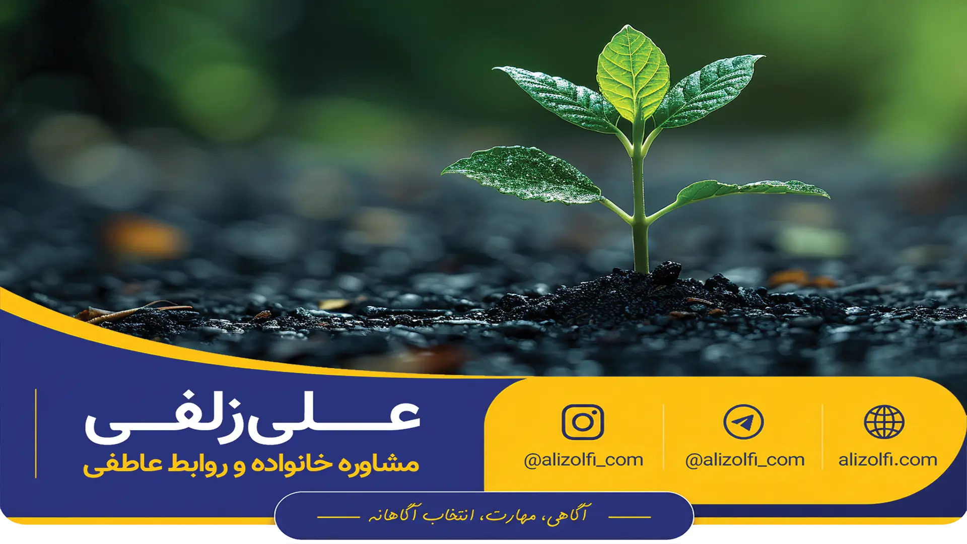 دوره رایگان نجات رابطه عاطفی - علی زلفی
