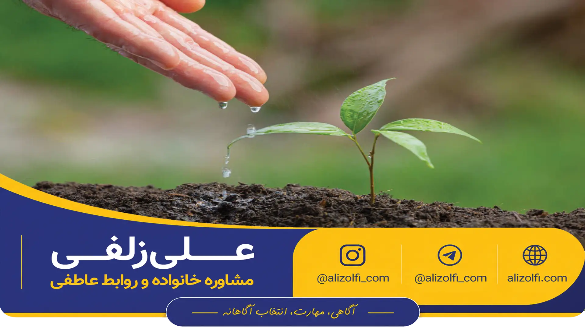 دوره رایگان نجات رابطه عاطفی - علی زلفی